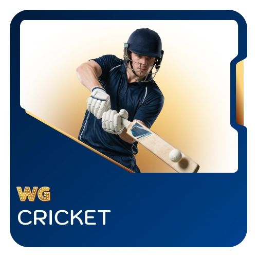 Place winning bets on international cricket matches at WG casino.