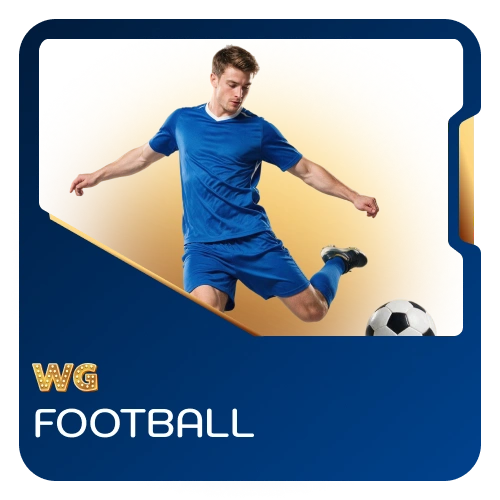 Bet on major UK football leagues and matches at WG casino.