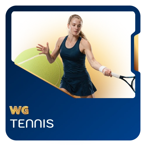 Bet on Grand Slam tennis tournaments live on WG casino.
