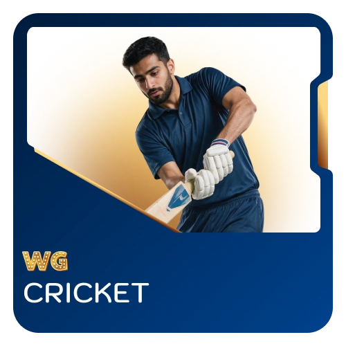 Predict test match and T20 tournament outcomes at WG casino.